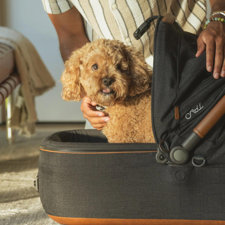 Tavo Pets: Autositz für Hunde und Katzen